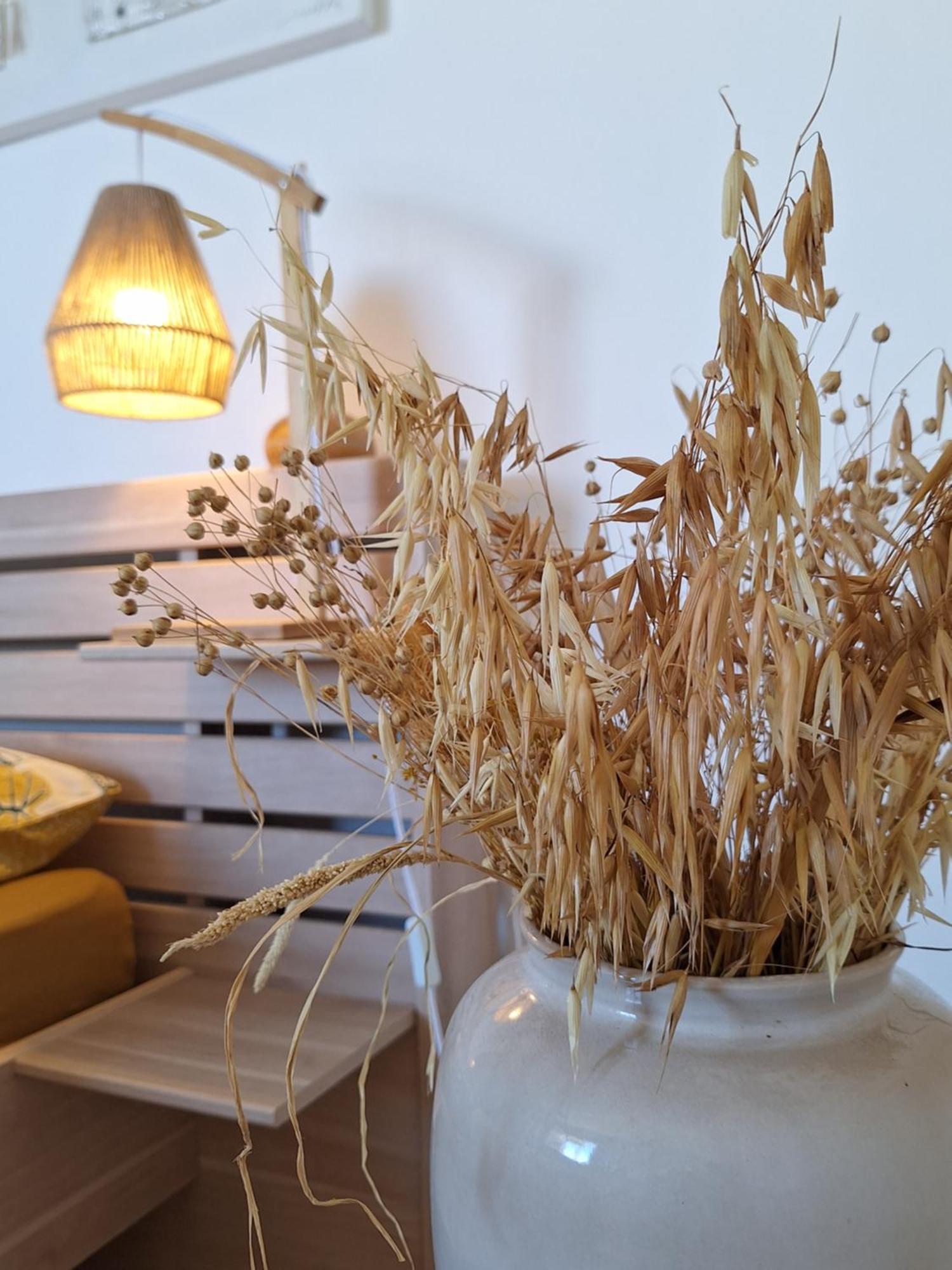 Appartamento Le Cocon De Madana Saint-Joseph Esterno foto